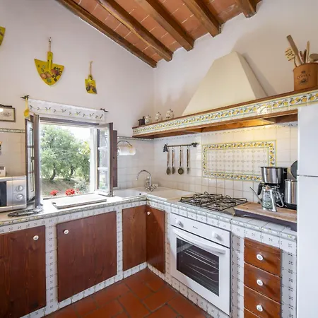 Holiday Home Il Lamone By Interhome Holiday home